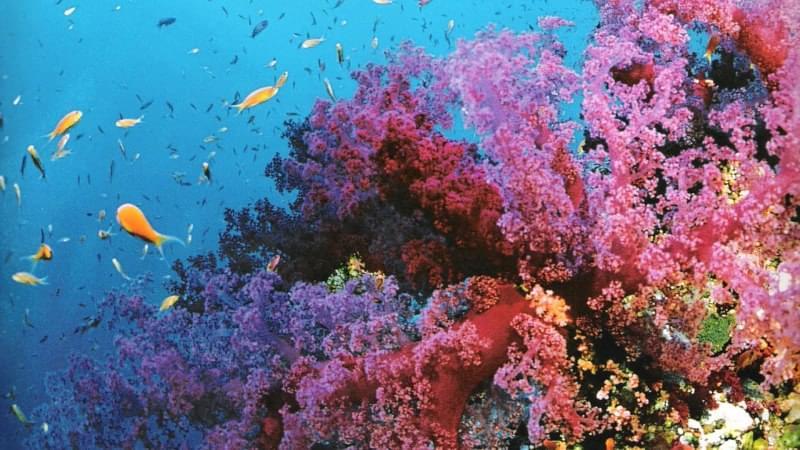 10 Snorkelling Spots in the Mediterranean